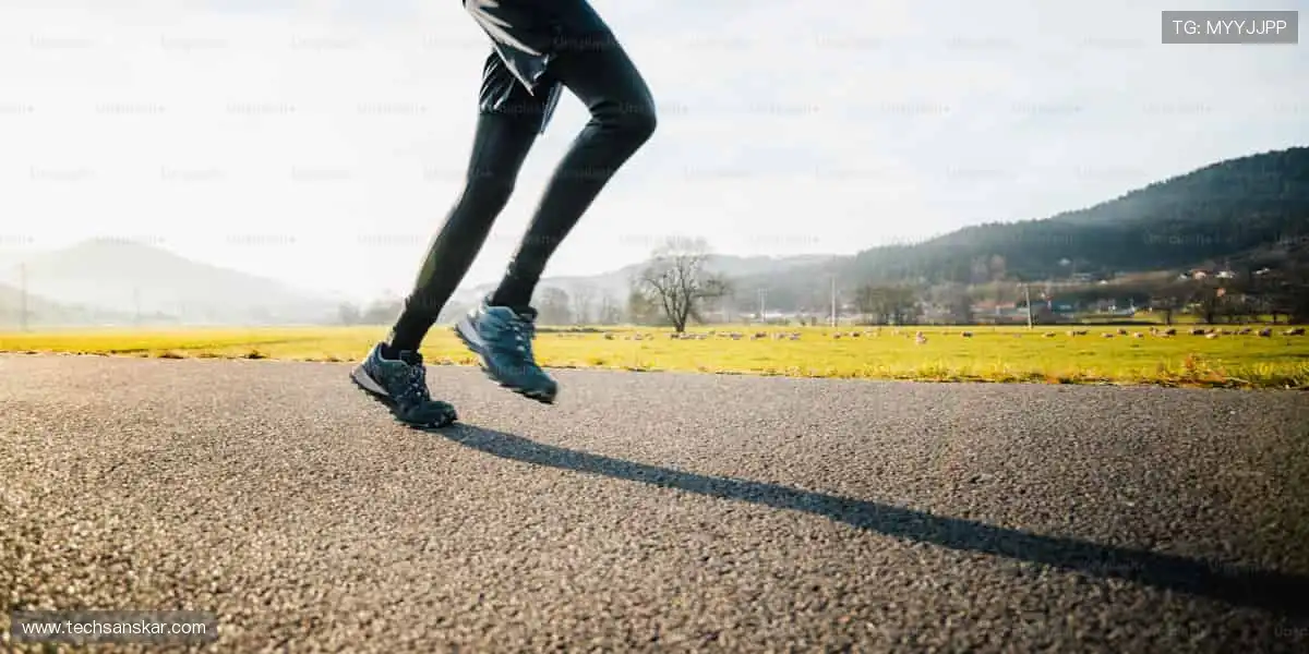 娱乐升级全能阵地：专业高清多元热门，精彩相伴每一天